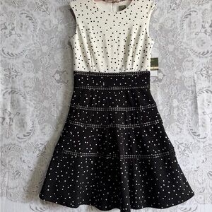 Taylor Black & White Polka Dot Midi Dress